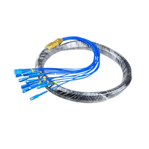 CATV Network Optical Fiber Pigtail 12 Core Fiber Outdoor SC Pigtail Waterproof