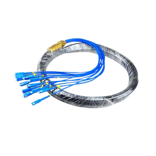 CATV Network Optical Fiber Pigtail 12 Core Fiber Outdoor SC Pigtail Waterproof