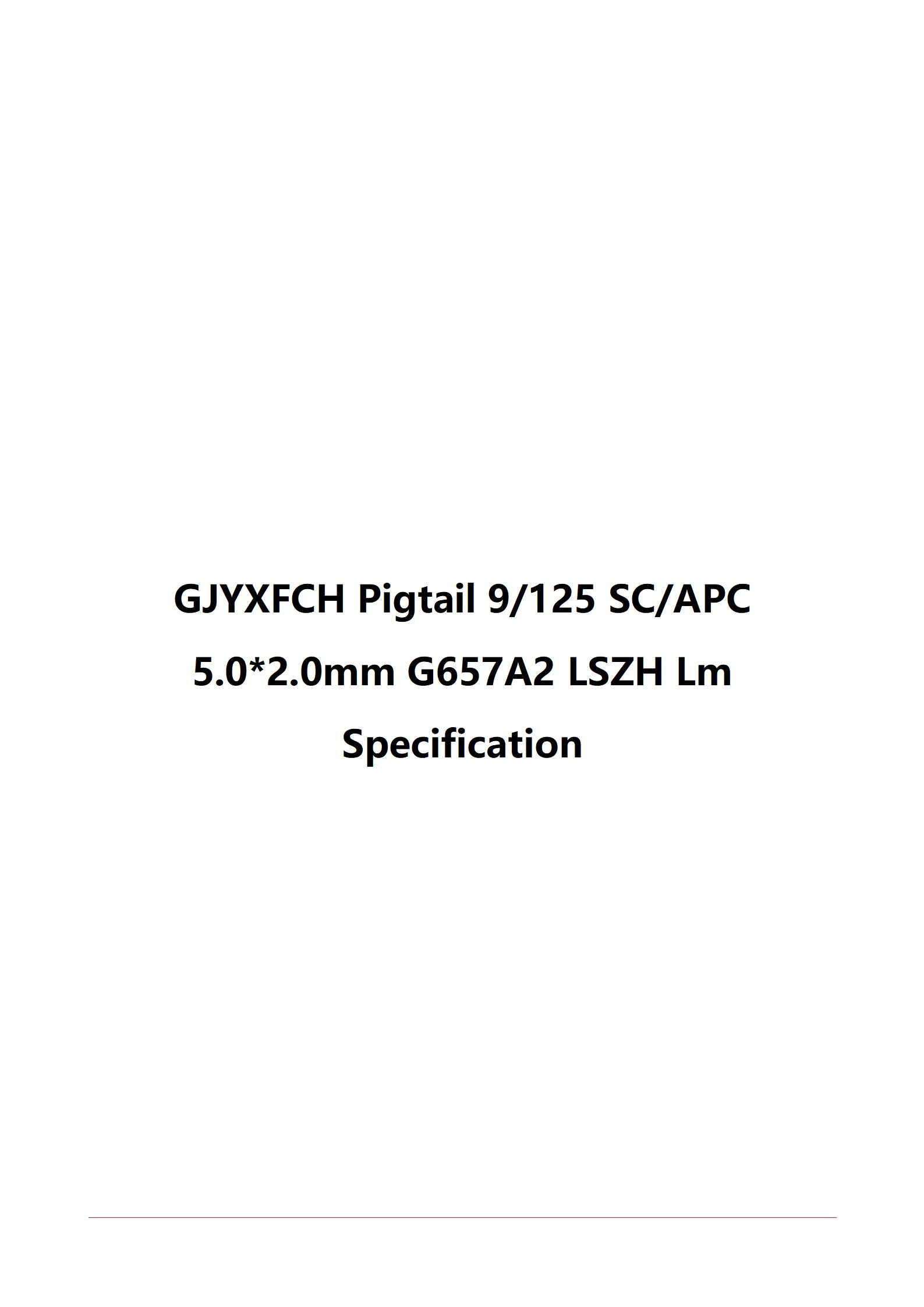 GJYXFCH-1B G67A2 Pigtail SCAPC_01