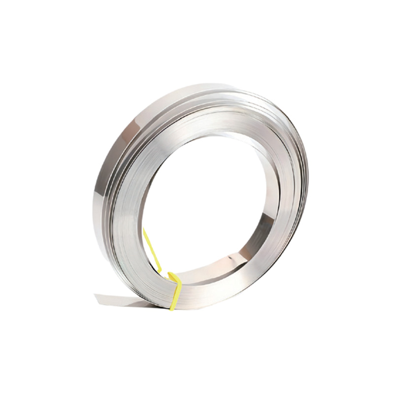 Stainless Stain Buckles