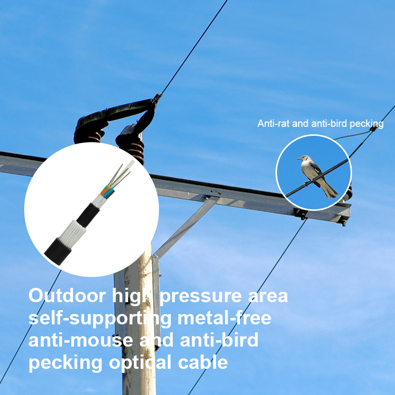 FADSS non-metal self-supporting rat-bite and bird-proof piping cable 24 Core Armored Optic Fiber Cable