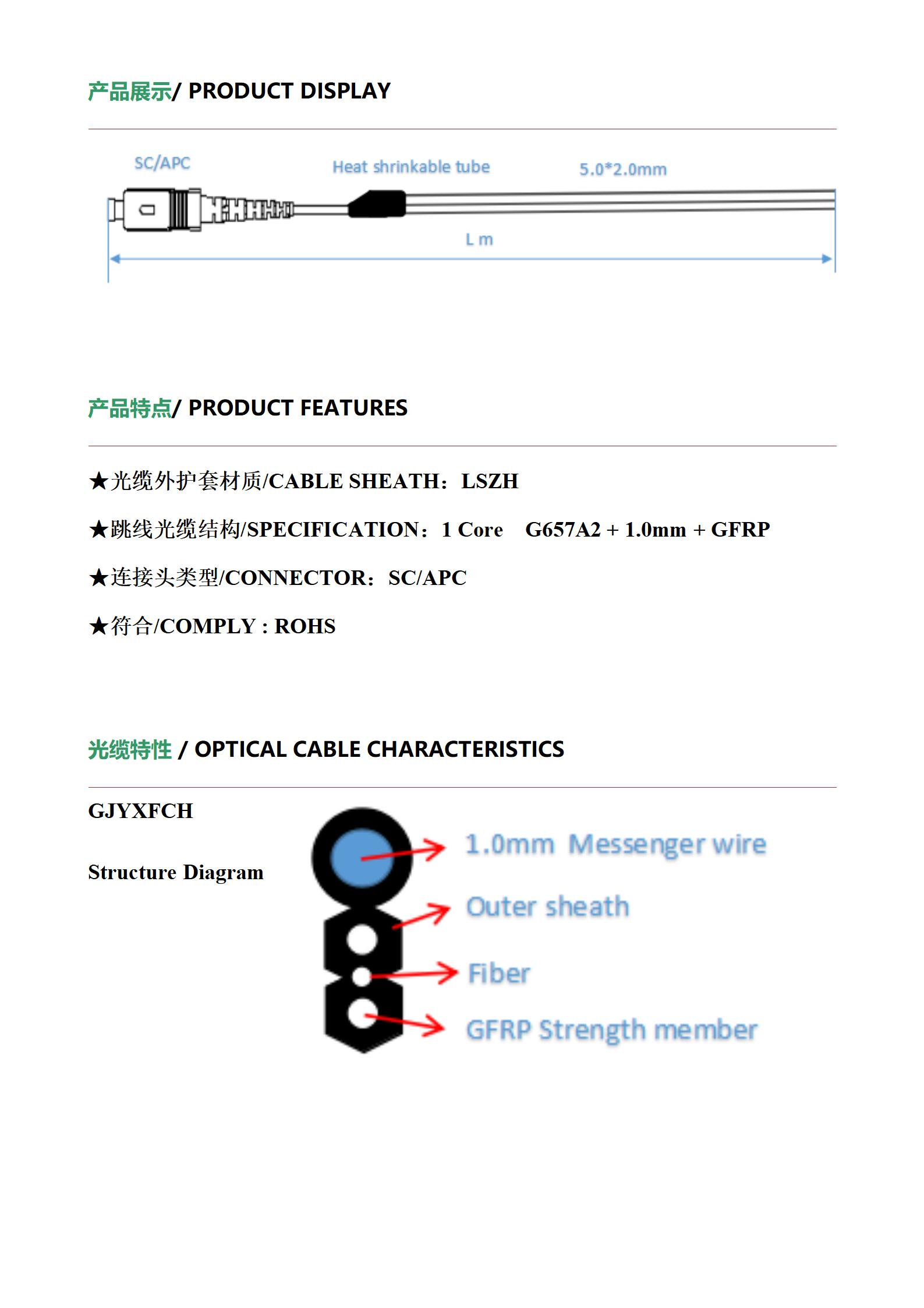 GJYXFCH-1B G67A2 Pigtail SCAPC_02