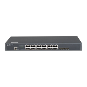 S2900-24T4X